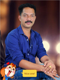 Bijo